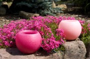 Gartenkerze Outdoorkerze Kugel Romantik 15cm pink