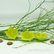 3er Set Schwimmkerzen Blatt kiwi